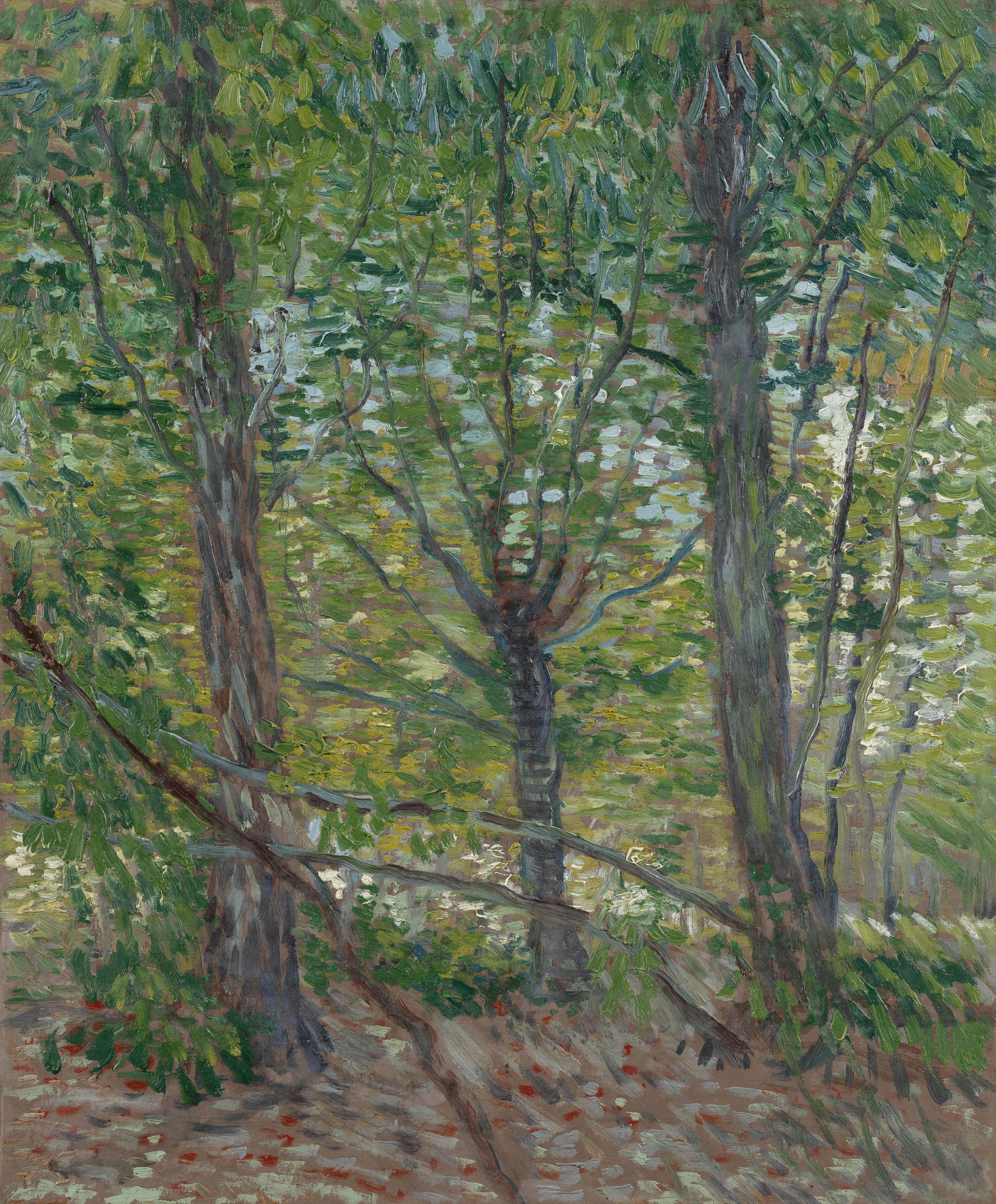 Картина Ван Гога Деревья и подлесок 1887